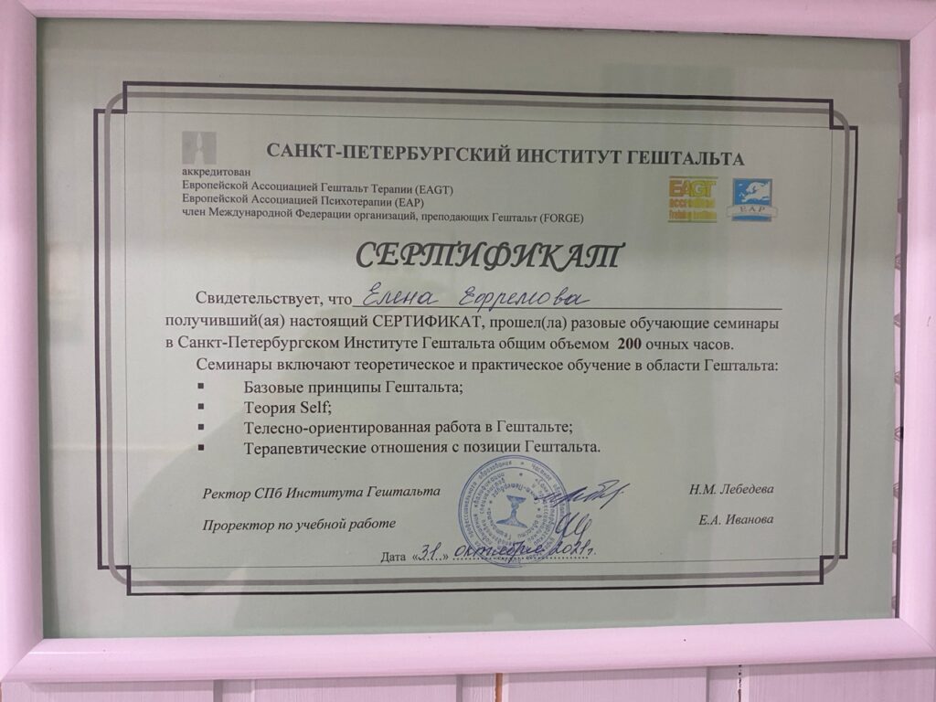 Фрумкина Елена - Диплом