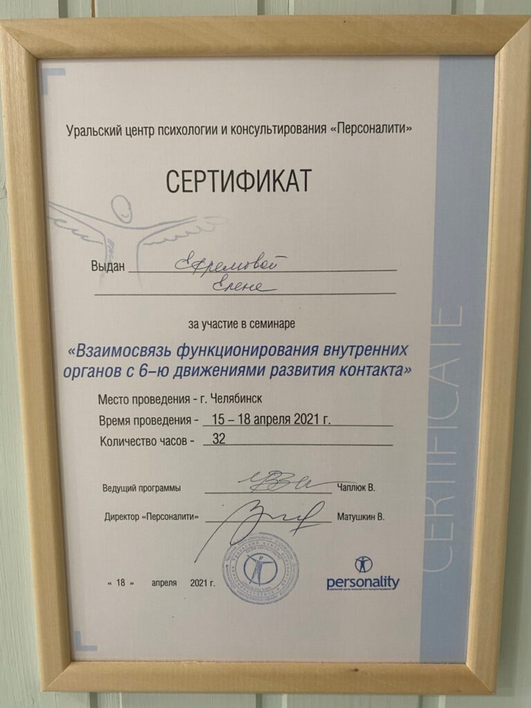 Фрумкина Елена - Диплом