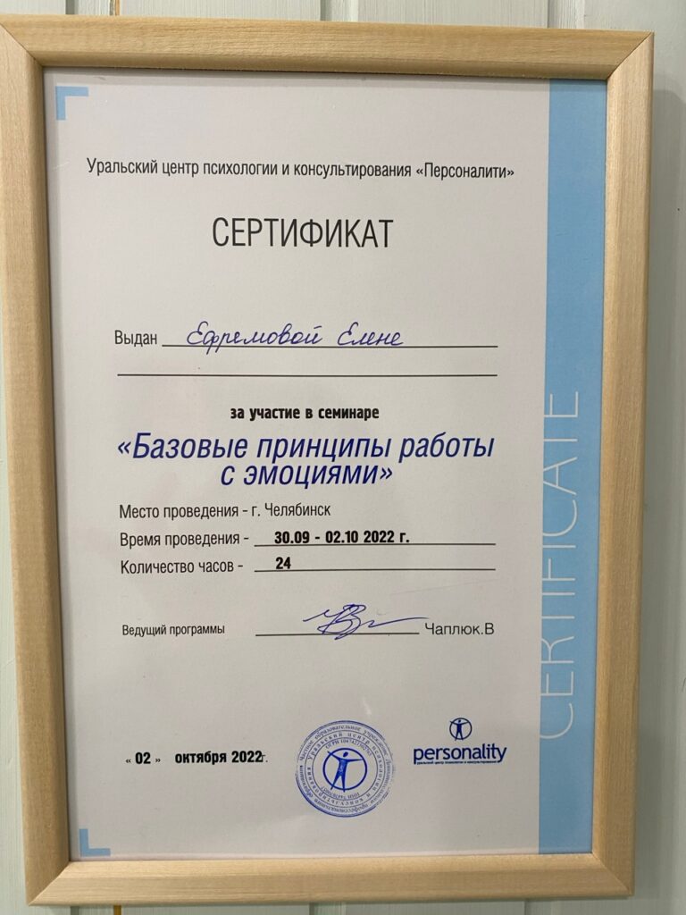 Фрумкина Елена - Диплом