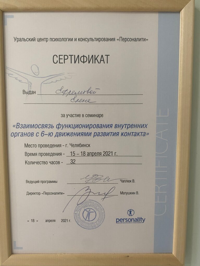 Фрумкина Елена - Диплом