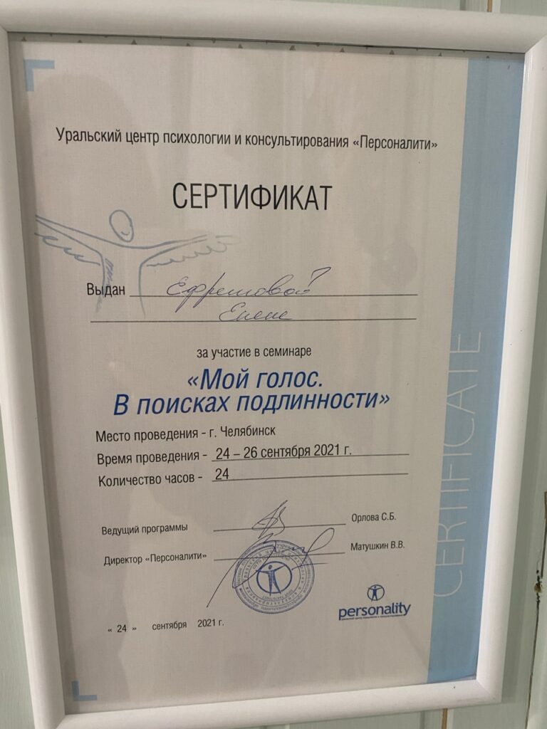 Фрумкина Елена - Диплом