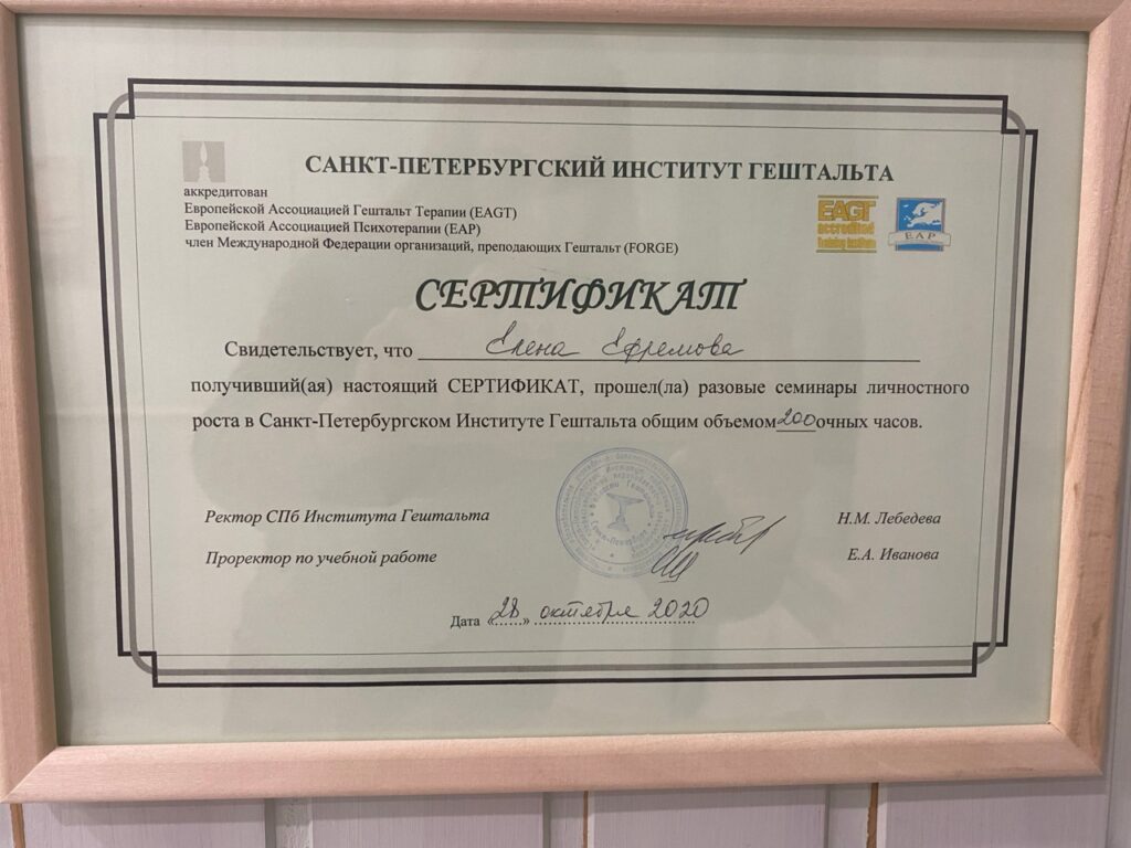 Фрумкина Елена - Диплом