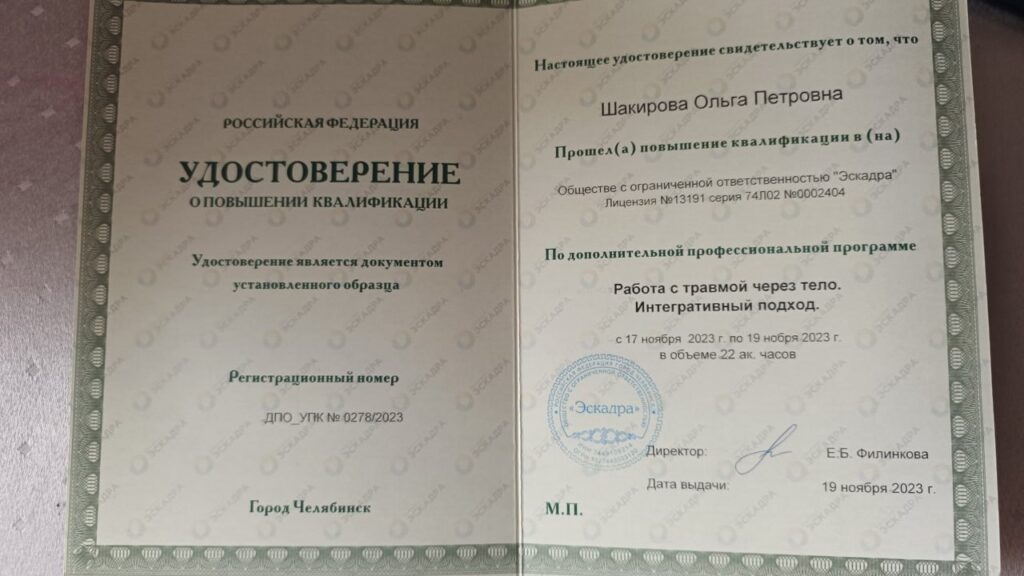 Шакирова Ольга - Диплом